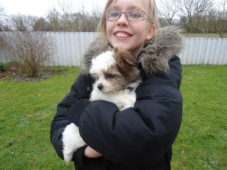 Blanding af racer Boomer - På første dag billede 2