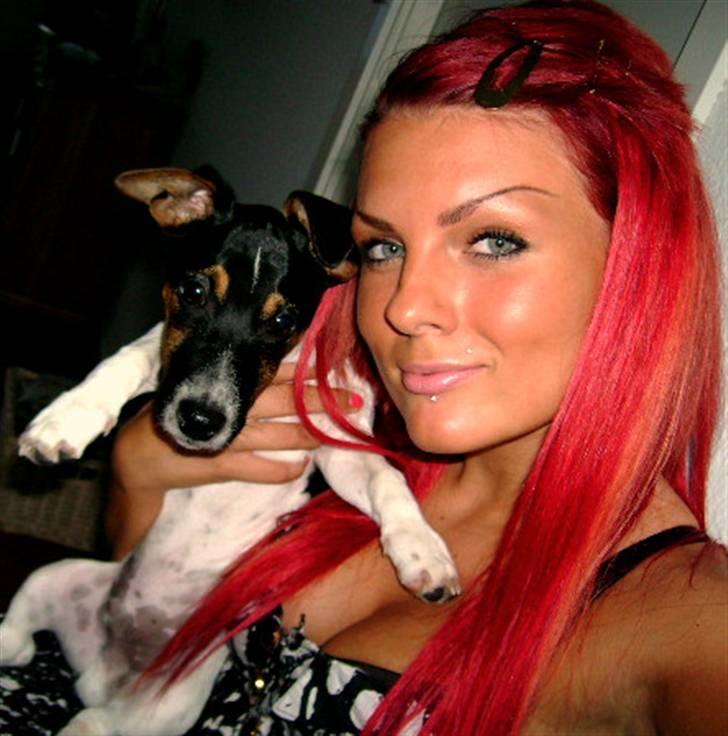 Jack russell terrier Charlie billede 17