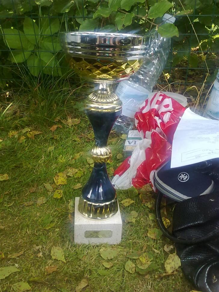 Dvaergschnauzer Yasmin billede 17