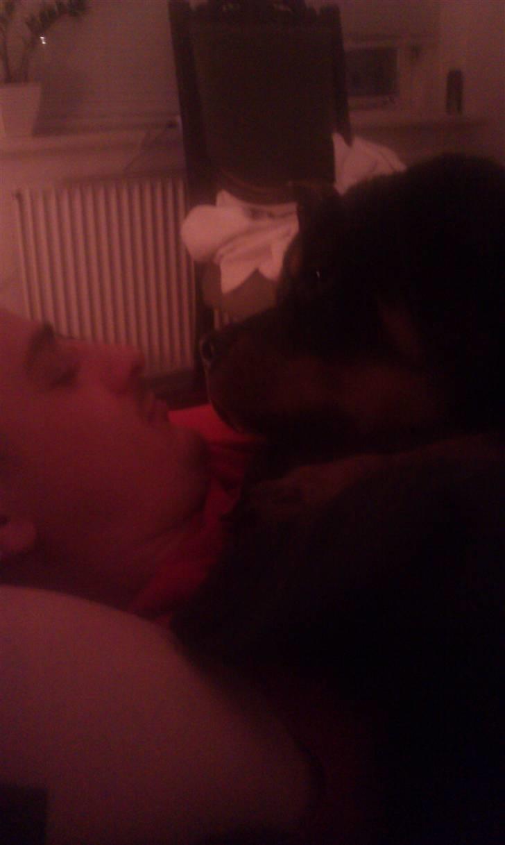 Rottweiler Urgos billede 4