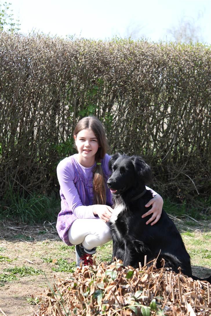 Blanding af racer Junior <3 - Hudi jeg elsker dig <3 Billede taget af Frederikke (min søster) :D billede 15