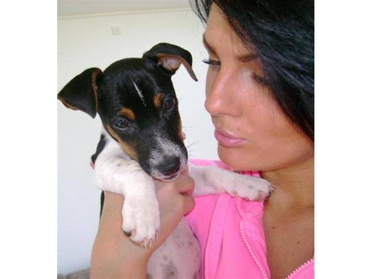 {{currentPhoto.altText}} billede {{currentPhoto.number}}