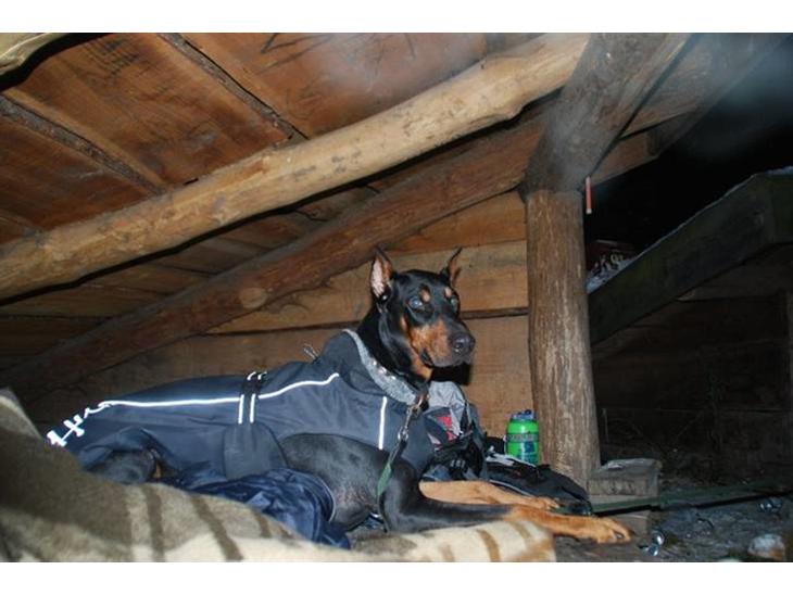 {{currentPhoto.altText}} billede {{currentPhoto.number}}