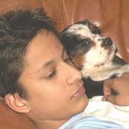 Cavalier king charles spaniel Allways Almighty Xelma RIP Himmelhund.