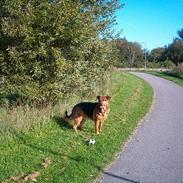 Blanding af racer Chivas