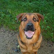 Blanding af racer Chivas