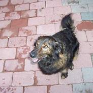 Blanding af racer charkie