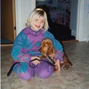 Cocker spaniel Bastian