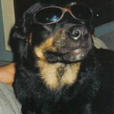 Blanding af racer Sacha RIP