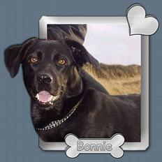 Blanding af racer Bonnie 27/1/02 