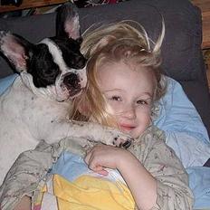 Fransk bulldog Hailie *Død*