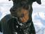 Blanding af racer Rosa *RIP* - 20/04/10 - I snevejret 2006