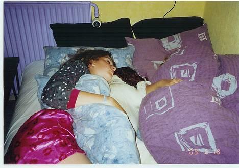 Field spaniel Jolly - snork...snork... billede 7