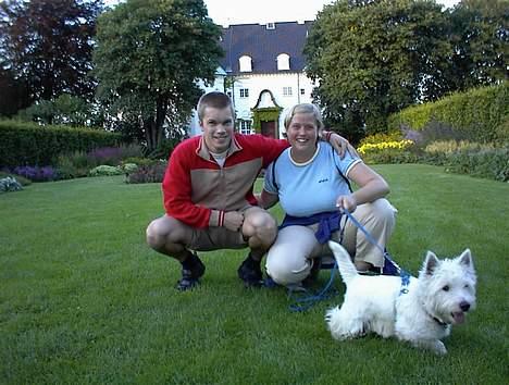 West highland white terrier Gizmo - Hey der var en fugl.... billede 3