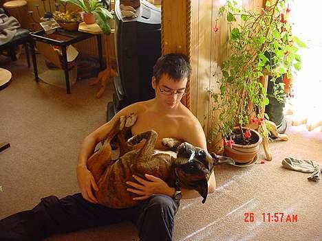 Boxer Bella - Min storebror og Bella... Er hun ikke sød.. :D billede 3