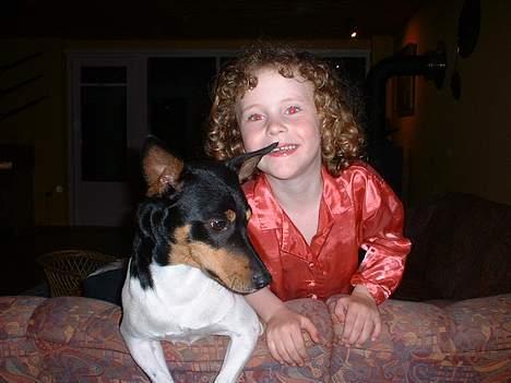 Dansk svensk gaardhund arki billede 2