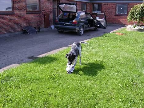 Blanding af racer Balder - Nu ska posen dø... billede 3