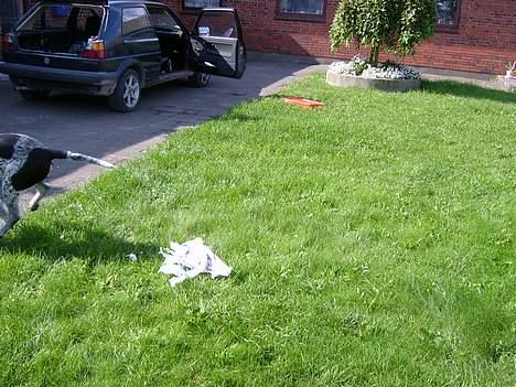 Blanding af racer Balder - Og så en hurtig flugt væk fra gerningsstedet. billede 5