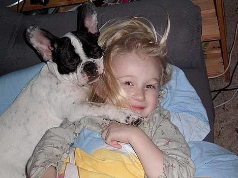 Fransk bulldog Hailie *Død* billede 1