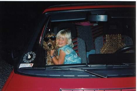 Cocker spaniel Bastian - Et godt eksempel på at man kan gøre alt ved ham. billede 6