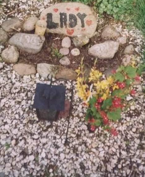 Labrador retriever Teglgaardens Lady *DØD* - Dette er Lady sidste hvile sted. Det er her vi lægger blomster og snakker med hende. Graven ligger for enden af vores hus lige mellem vores to haver. billede 2