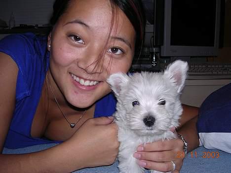 West highland white terrier Ziang - Mor og mig den allerførste dag.  billede 6