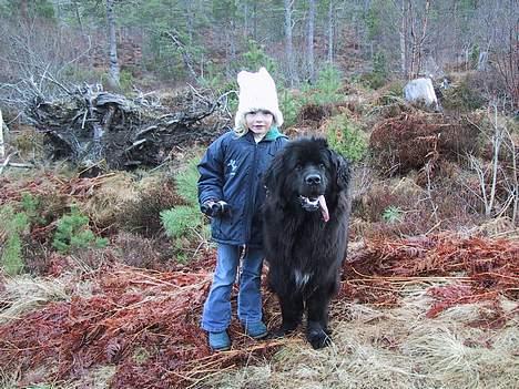 Newfoundlænder Shamira - Shamira og min søster på tur i fjellet billede 2