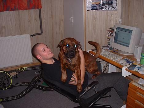 Blanding af racer Hubbi - Ved ik at den er alt for stor til at være skødehund;o) (meget gammelt billede) billede 7
