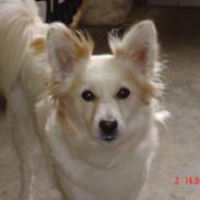 Blanding af racer Millle