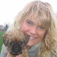 Griffon bruxellois ollie 