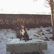 Blanding af racer Charlie