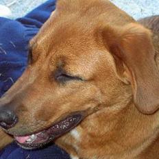 Blanding af racer lady!