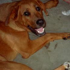 Blanding af racer lady!