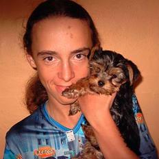 Yorkshire terrier Faber's Scarlett