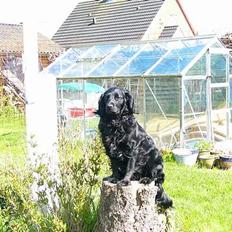 Blanding af racer Smut