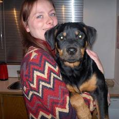 Rottweiler Maja * Himmelhund 2018 *