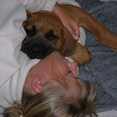 Boerboel Cozy død 11/7-06