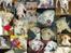 Labrador retriever Fie - En masse hvalpebilleder