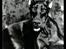 Dobermann (Fyrstinden) Chica R.I.P. - Chica