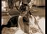 Dobermann (Fyrstinden) Chica R.I.P. - Chica