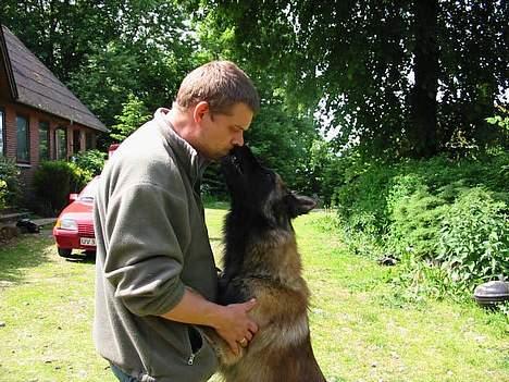 Tervueren Aron - Hva så far ... giver du et kys eller hvad ??? billede 4