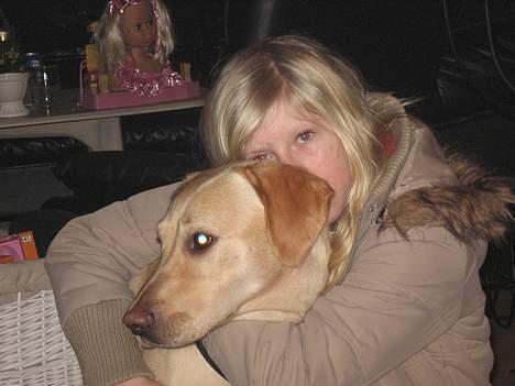 Labrador retriever Janus - Mor , elsker osse dig billede 2