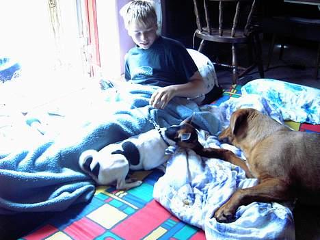 Blanding af racer lady! billede 8