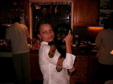 Rottweiler Nico - Åh min første jul sammen med mor billede 1