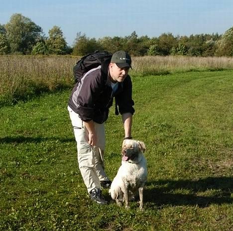 Labrador retriever Fie - Fie og jeg til træf i herlev billede 17