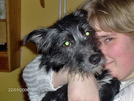 Blanding af racer Elvis - Mor får en krammer billede 8