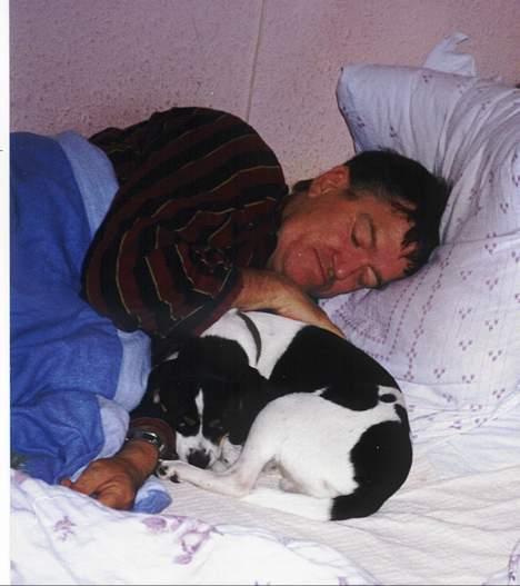 Dansk svensk gaardhund Pelle - Putter med farmand. billede 2