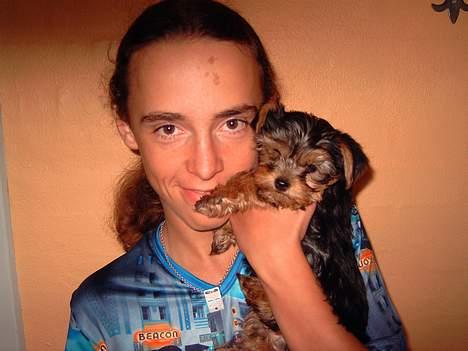 Yorkshire terrier Faber's Scarlett - Scarlett 3 mdr. med Sebastian billede 2