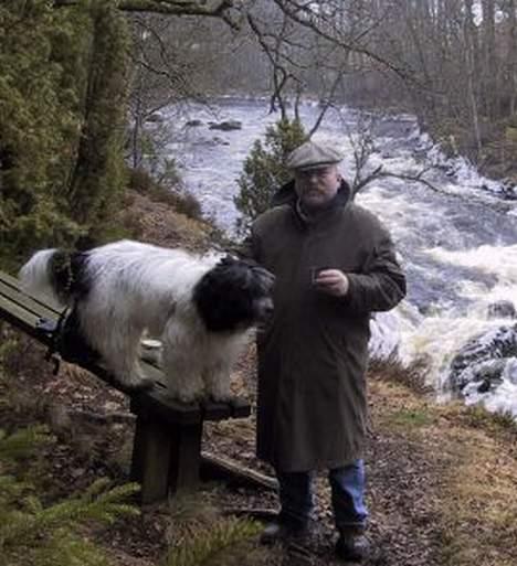 Schapendoes Phillip Marlowe - Det bedste jeg ved er at komme med til Sverige og gå lange ture billede 11