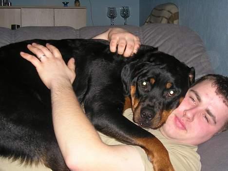 Rottweiler Zanya - Her putter jeg med Far... billede 4